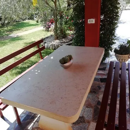 Mirko * Poreč